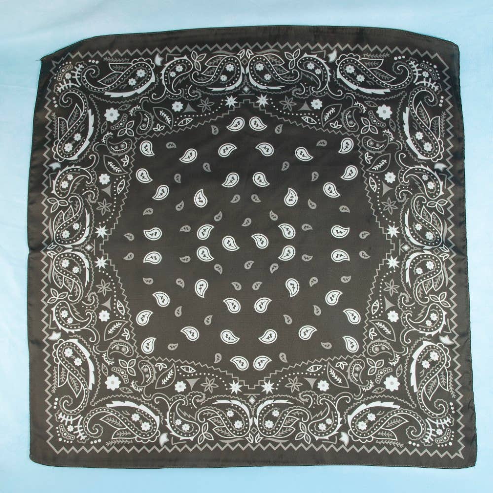 Red Paisley Satin Bandana Scarf